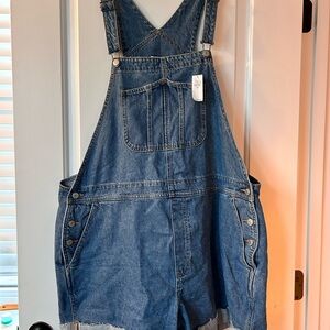 Old Navy Denim Overalls